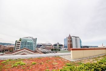 a city skyline with a green roof on top of a building at Icon Apartments, Seattle, WA
